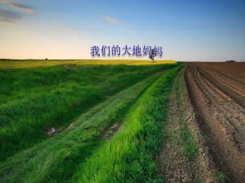 《我们的大地妈妈》让家园更美好PPT课件2