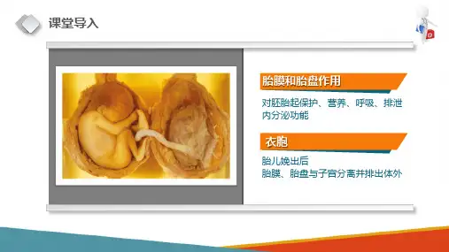 人体早期发育—胎膜和胎盘(正常人体结构课件)