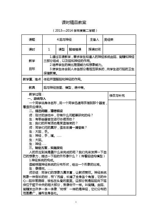 《脑与神经》精品教案