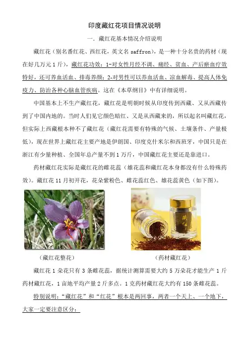 印度克什米尔藏红花简介