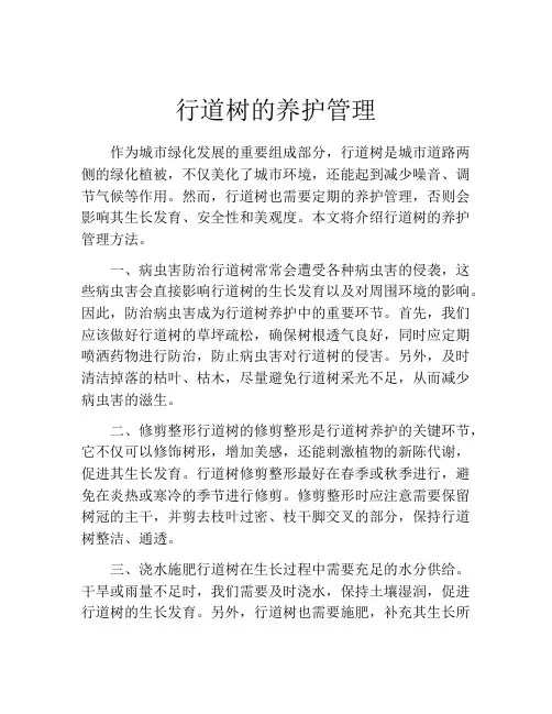 行道树的养护管理