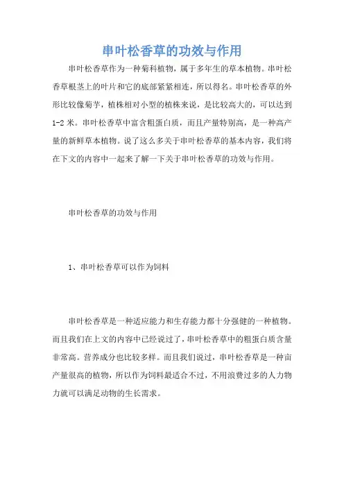 串叶松香草的功效与作用