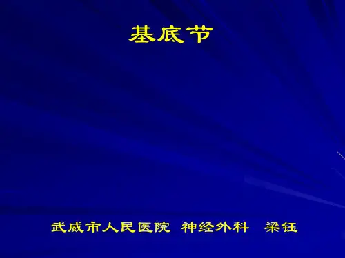 基底节