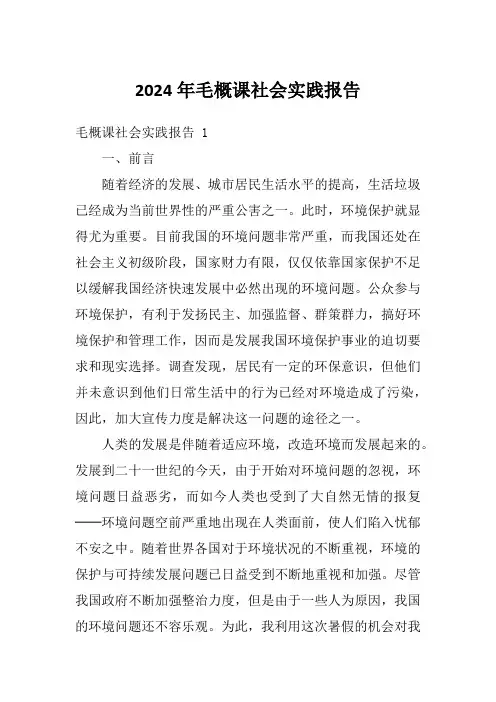 2024年毛概课社会实践报告