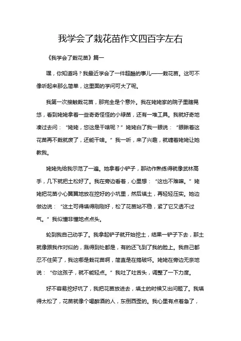 我学会了栽花苗作文四百字左右