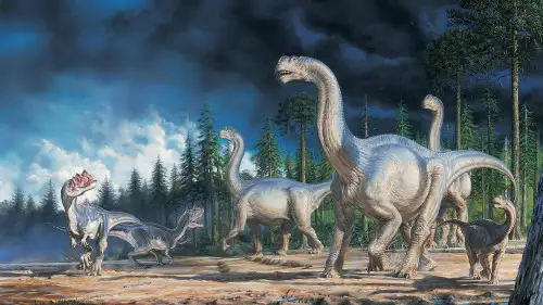 最新 部编版八下语文第6课 阿西莫夫短文两篇 优质教学课件