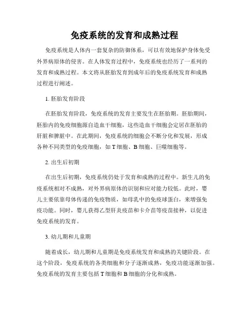 免疫系统的发育和成熟过程