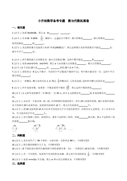 小升初数学专题  数与代数拓展卷 经典题型及详细解析