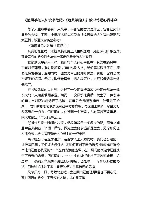 《追风筝的人》读书笔记-《追风筝的人》读书笔记心得体会