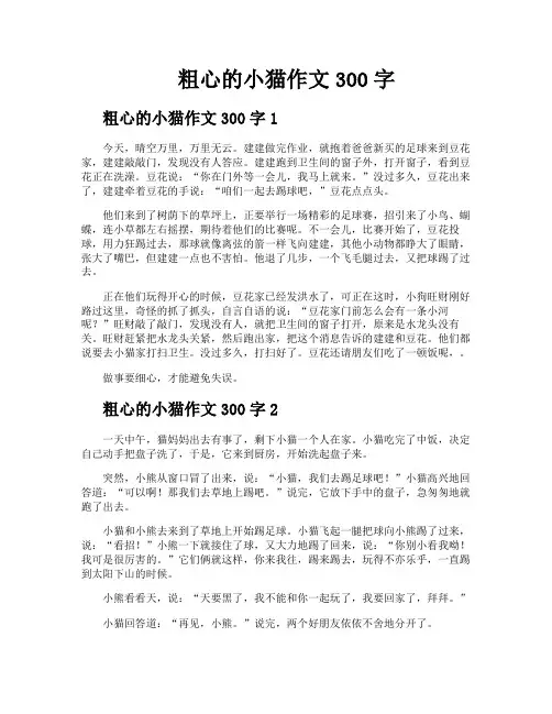 粗心的小猫作文300字