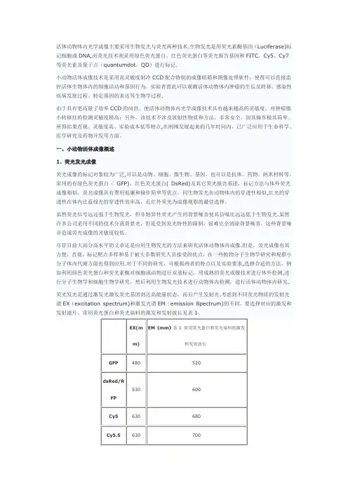 小动物活体成像技术的原理及操作方法