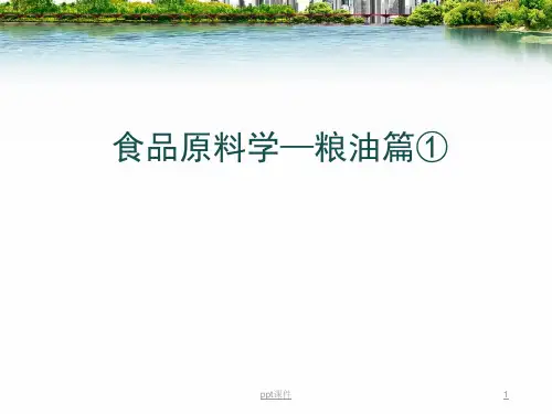 食品原料学—粮油篇  ppt课件