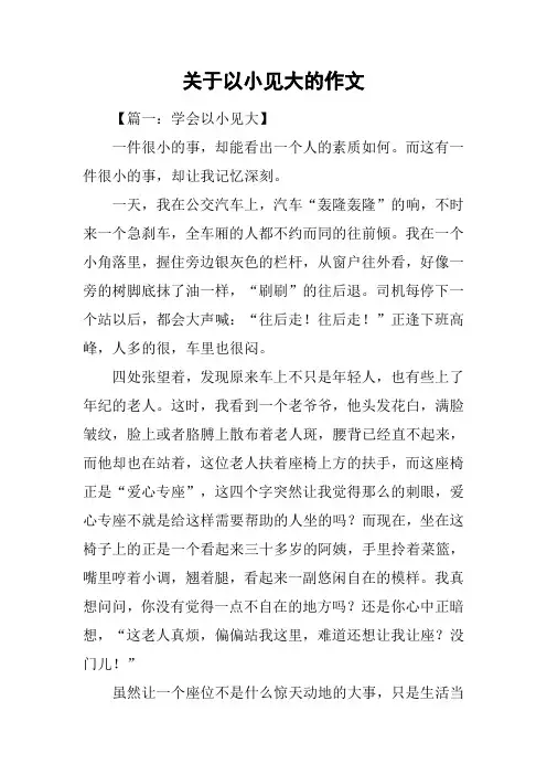关于以小见大的作文