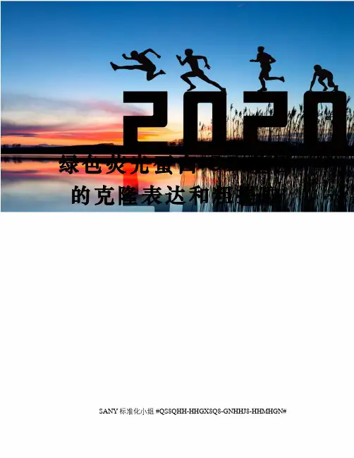绿色荧光蛋白GF基因的克隆表达和粗提取