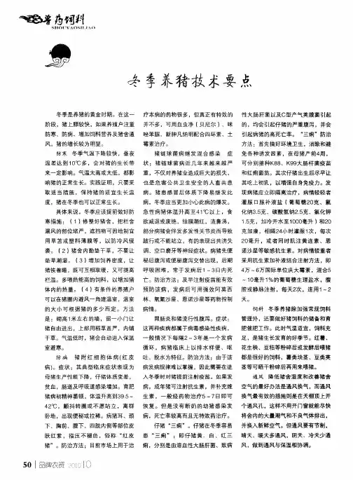 冬季养猪技术要点