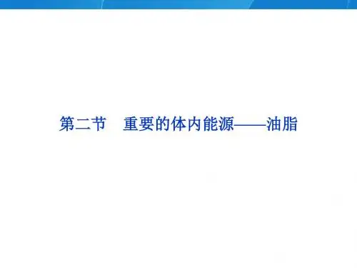 人教版高中化学选修1第1章第2节重要的体内能源——油脂(共29张PPT)