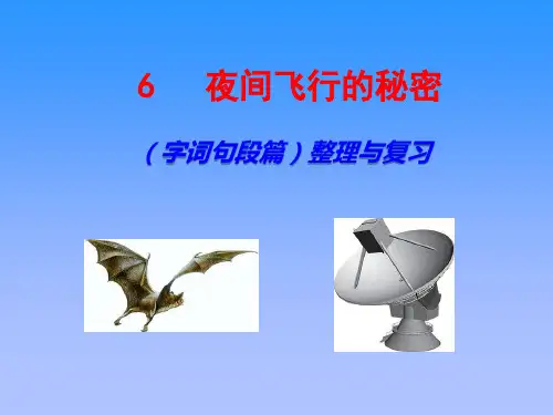 6《蝙蝠和雷达》部编版四年级语文上册整理与复习课件(含字词句段篇)