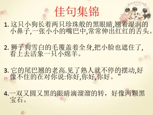 描写熟悉的小动物