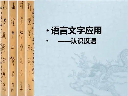 美丽而奇妙的语言——认识汉语ppt16