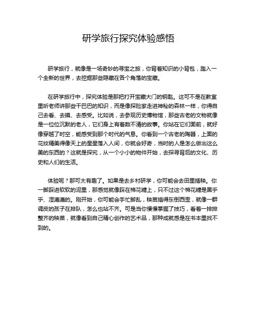 研学旅行探究体验感悟