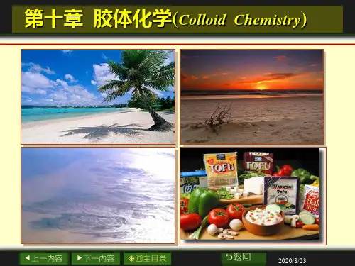 大学物理化学--第10章