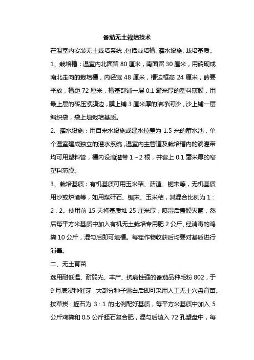 番茄无土栽培管理技术及技巧