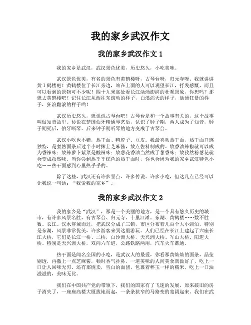 我的家乡武汉作文 2