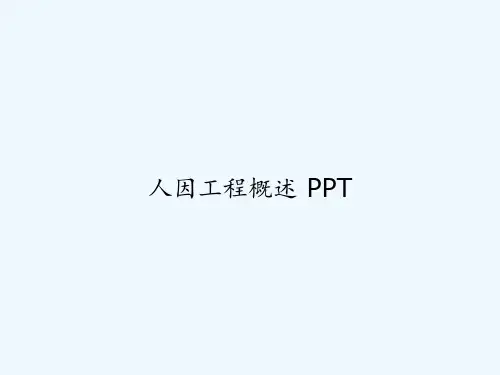 人因工程概述 PPT