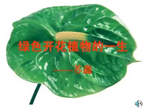 绿色开花植物的一生