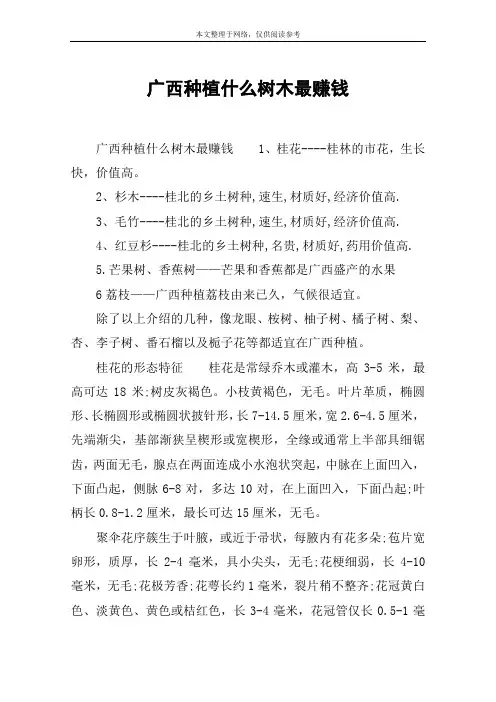 广西种植什么树木最赚钱