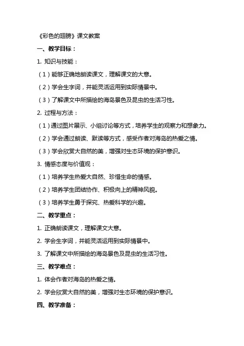 《彩色的翅膀》课文教案