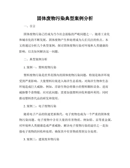 固体废物污染典型案例分析