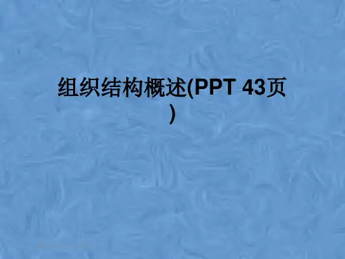 组织结构概述(PPT 43页)