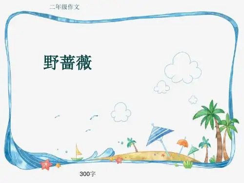 小学二年级作文《野蔷薇》300字(共7页PPT)
