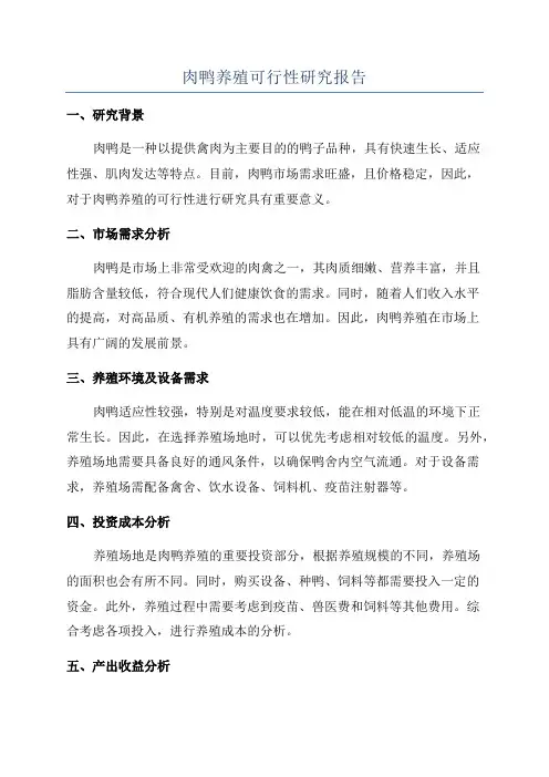 肉鸭养殖可行性研究报告
