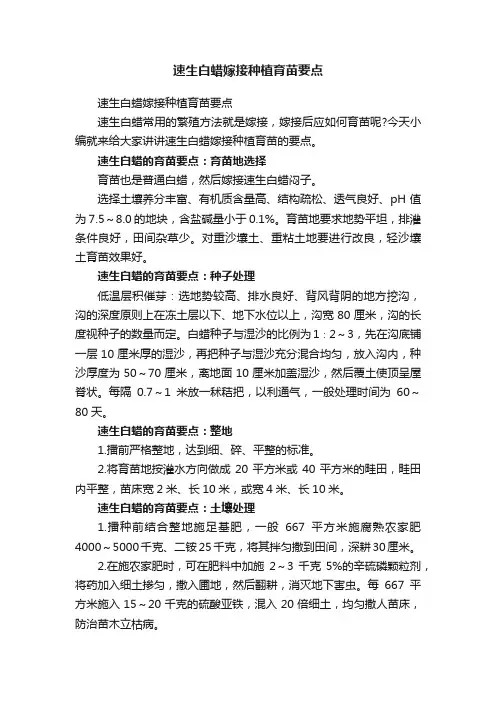 速生白蜡嫁接种植育苗要点