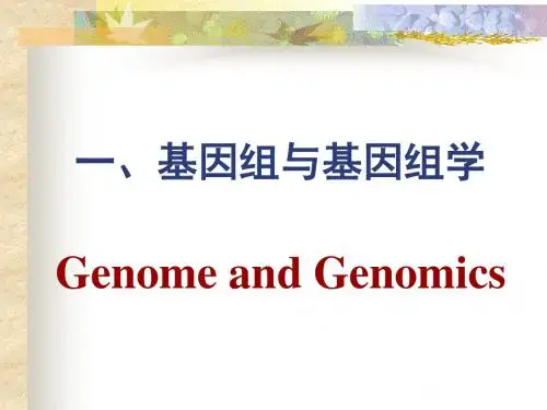 中山大学分子生物学分析
