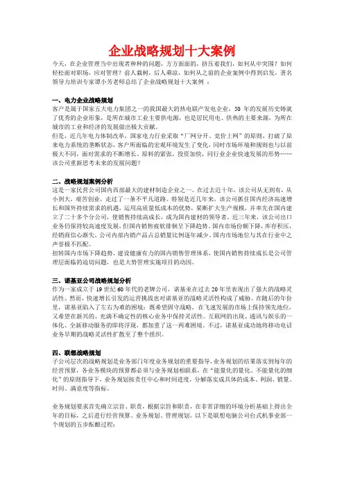 企业战略规划十大案例