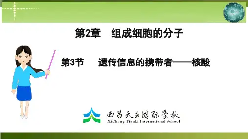 【人教版材】化学核酸精品教学PPT1