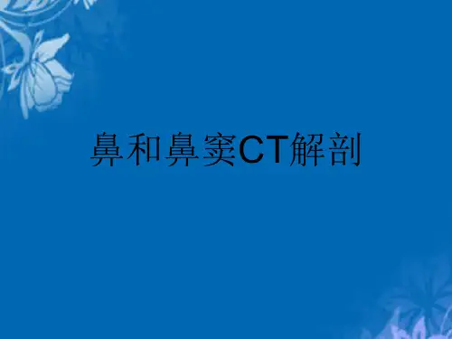 鼻和鼻窦CT解剖