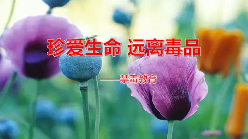 中学生毒品预防教育精品PPT课件