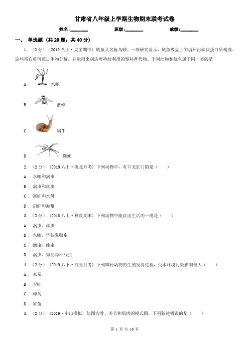 甘肃省八年级上学期生物期末联考试卷
