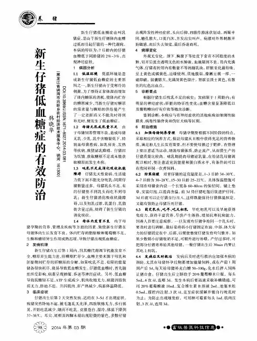 新生仔猪低血糖症的有效防治
