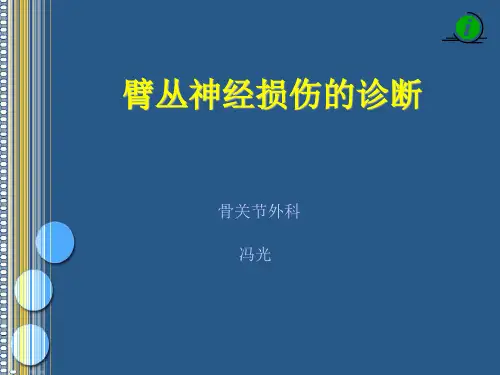 臂丛神经损伤