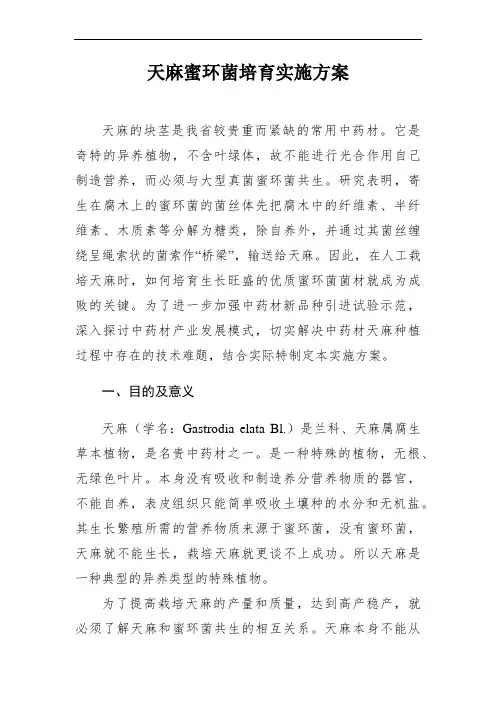 天麻蜜环菌培育实施方案