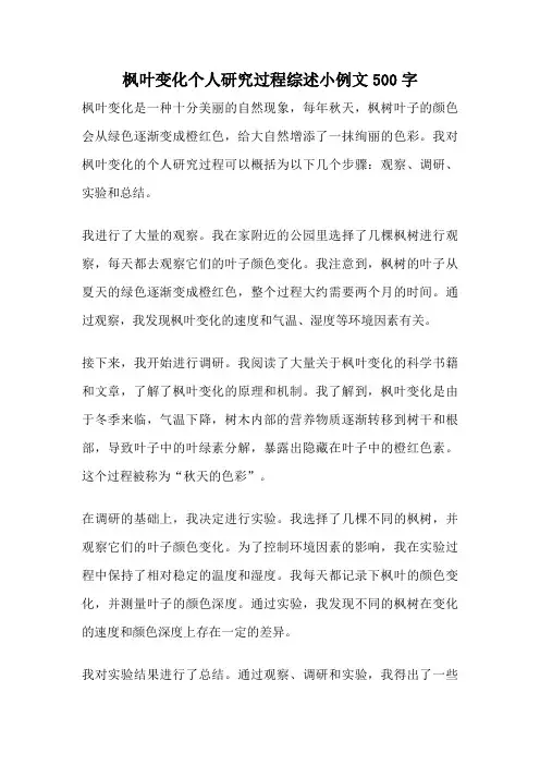 枫叶变化个人研究过程综述小例文500字