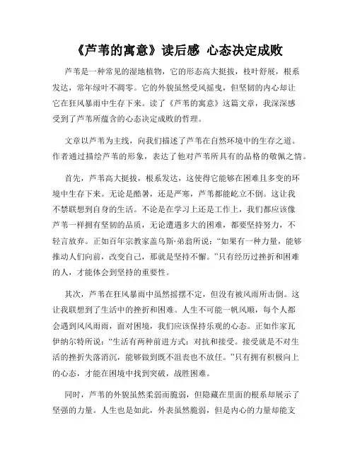 《芦苇的寓意》读后感  心态决定成败
