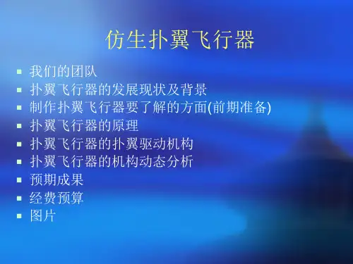 仿生扑翼飞行器