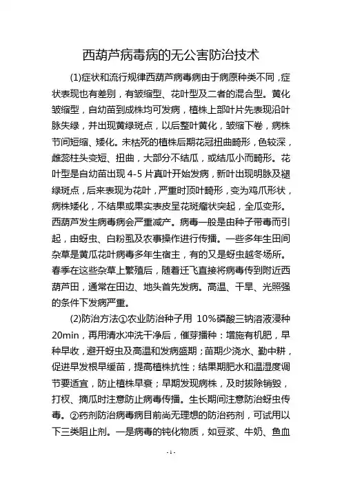 西葫芦病毒病的无公害防治技术