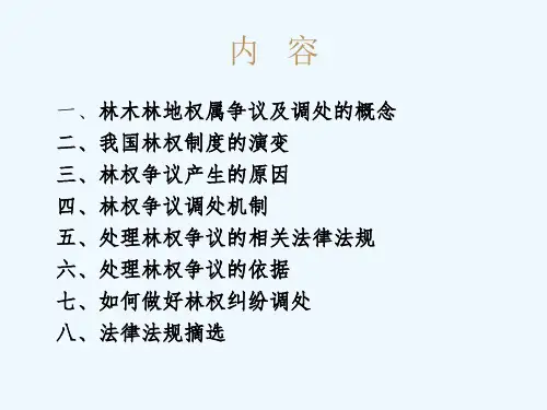 林权纠纷调处